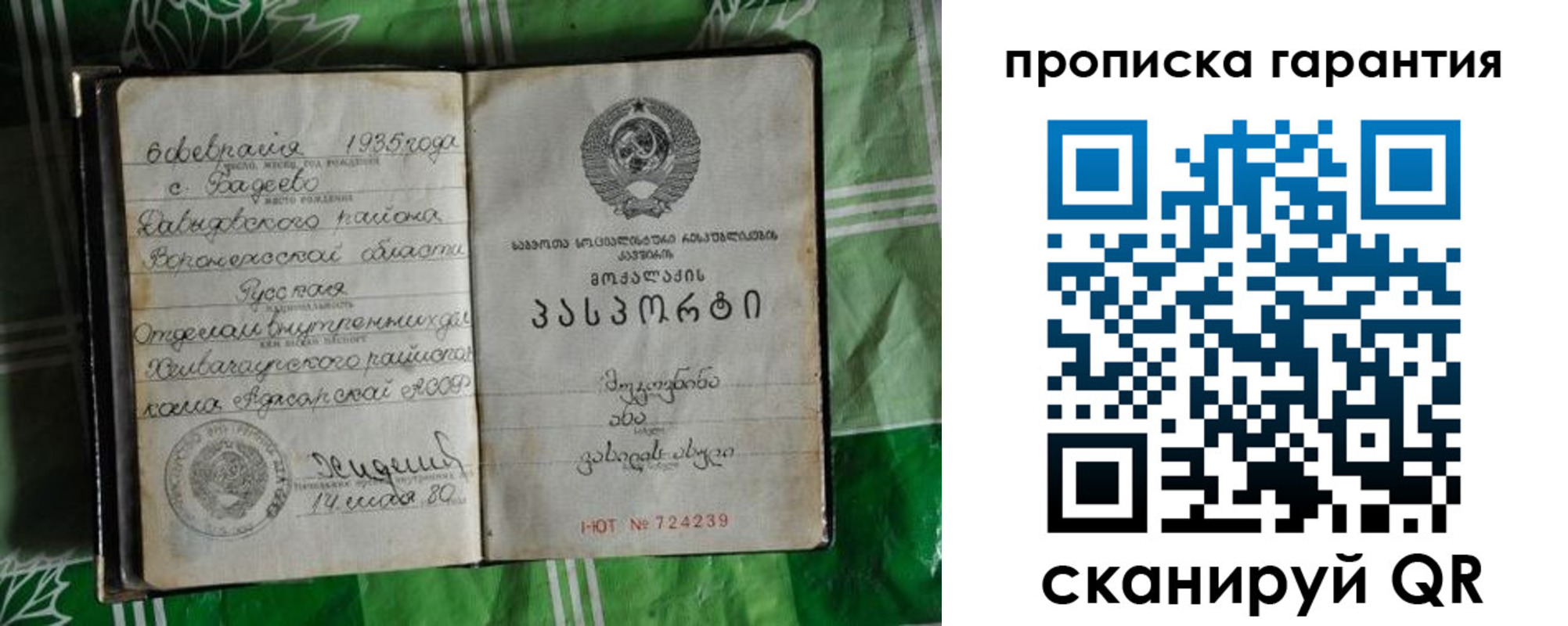 временная регистрация гарантия в Палласовке